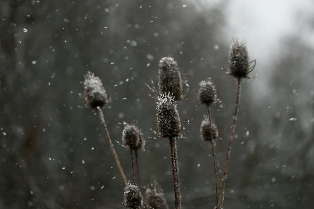 Foto van het jaar&nbsp;2017