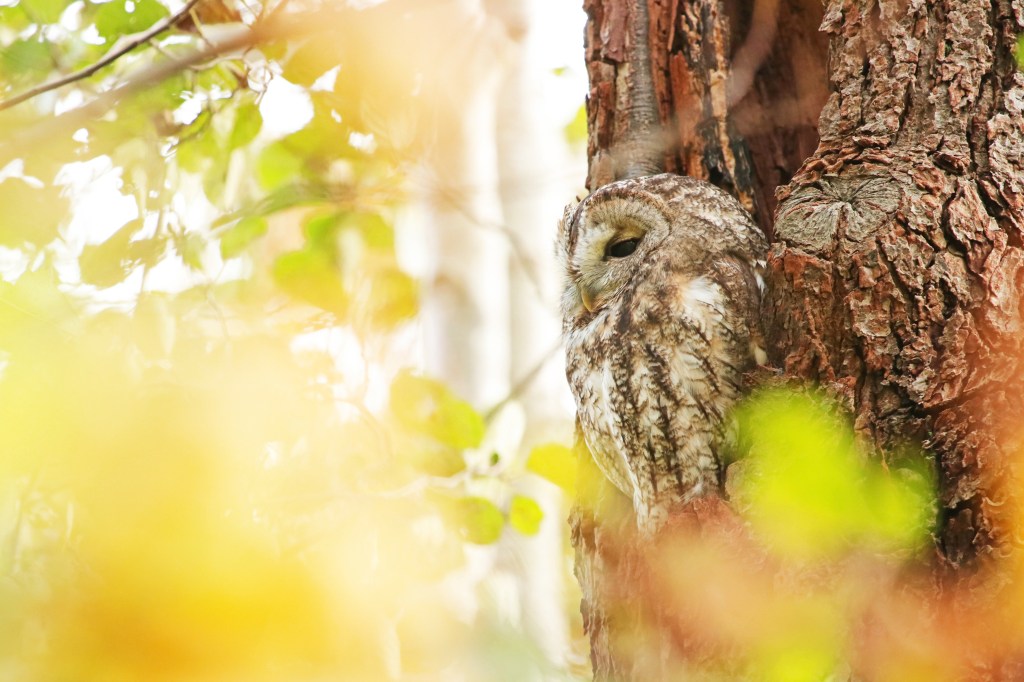 Het najaar heeft veel&nbsp;gezichten