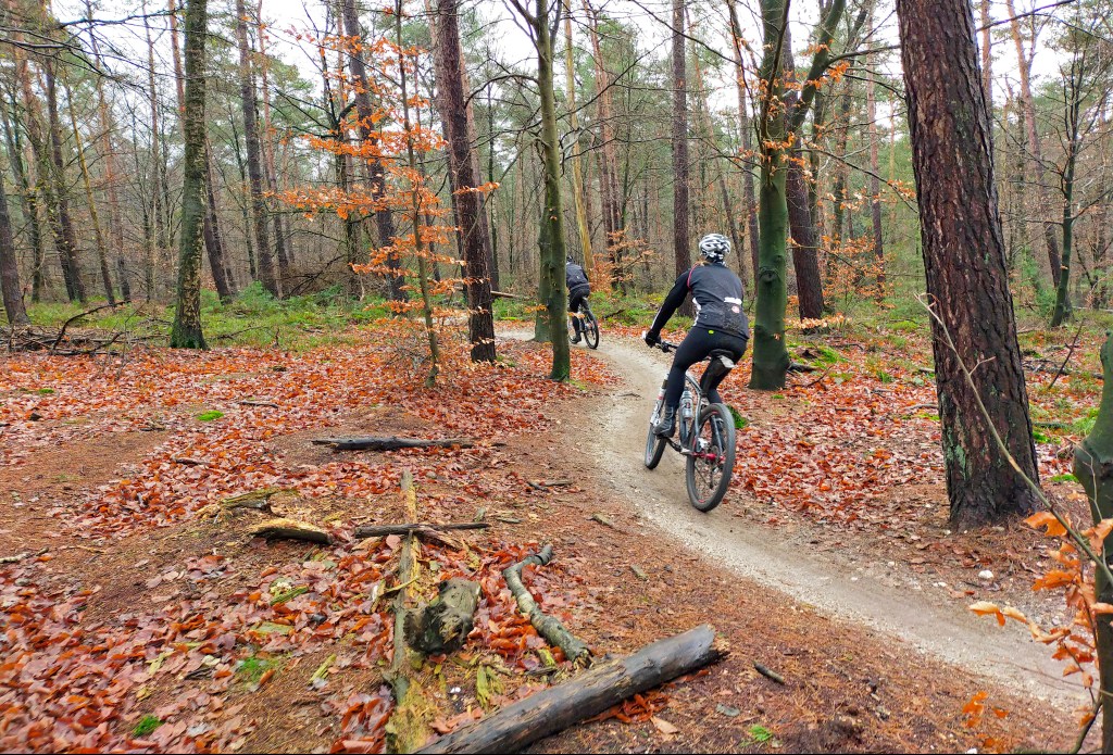 Genieten van de natuur vanaf de&nbsp;mountainbike