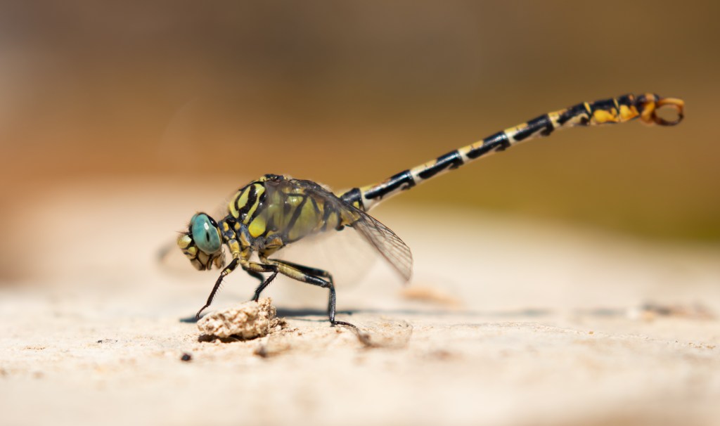 Spaanse zomer 2: Omgeving verkennen