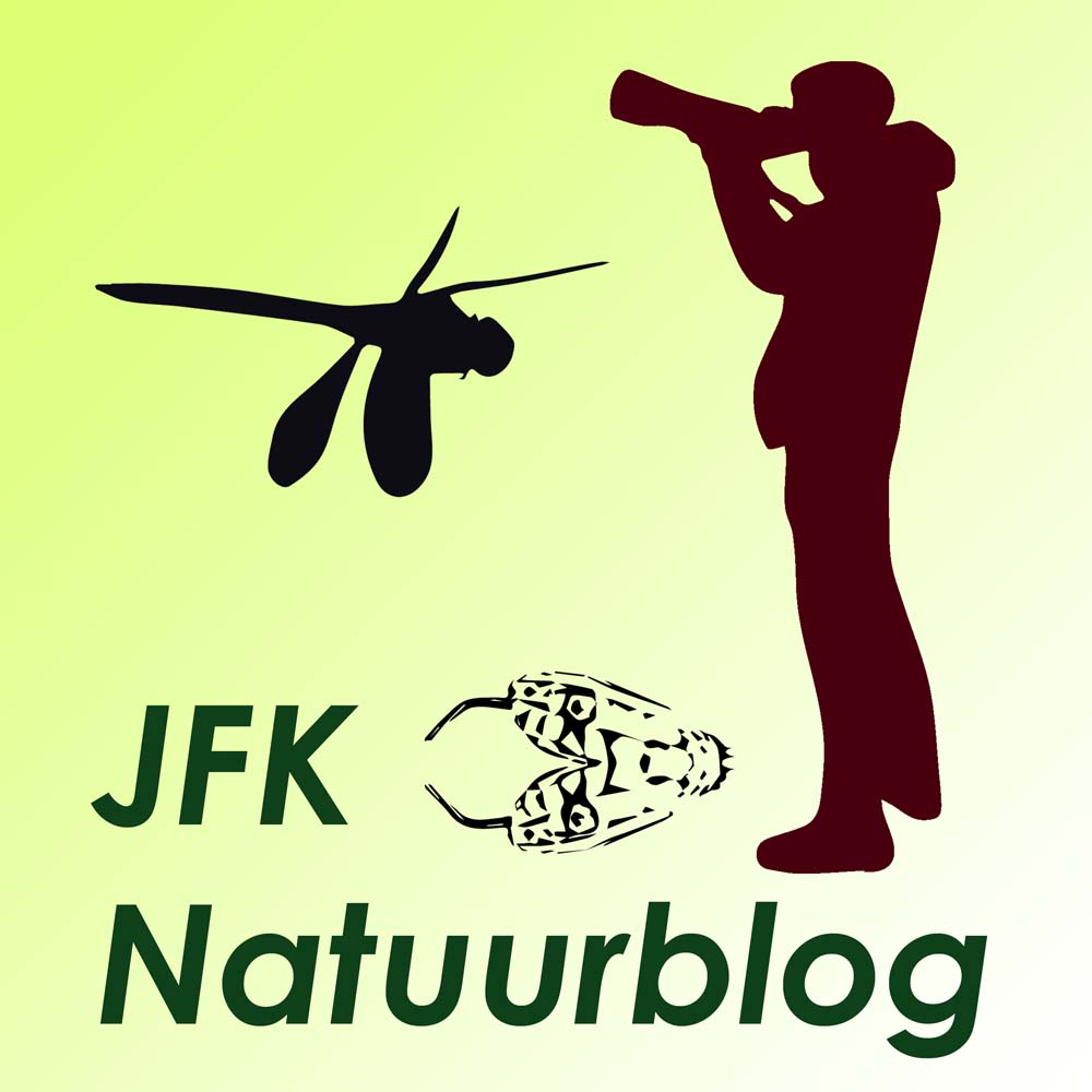 JFK Natuurblog