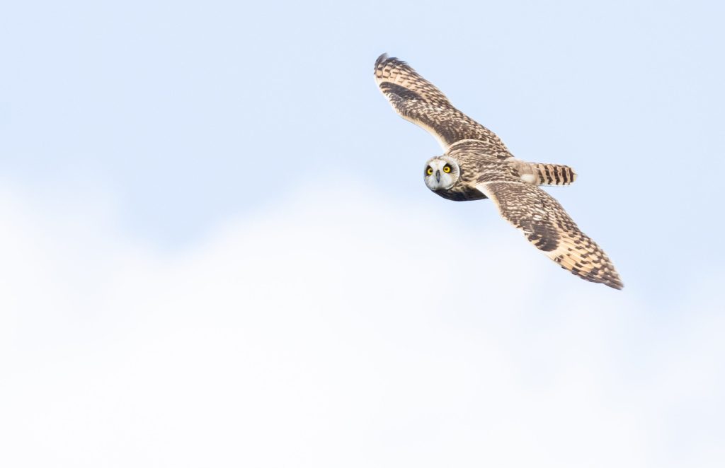 Veldonderzoek vol verrassingen